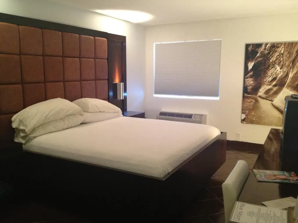 Blue Moon Gay Resort Las Vegas ABD
