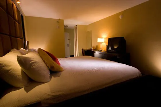 Blue Moon Gay Resort Las Vegas